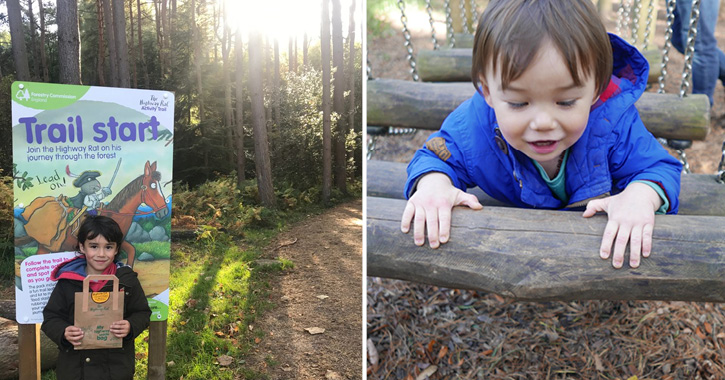 Hamsterley Forest